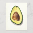 Search for avocado postcards Pit
