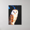 Search for selected art White