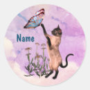 Search for siamese stickers Kitten