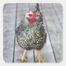 Search for travel around the world stickers Bird watching