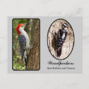 Search for belly horizontal postcards Bellied
