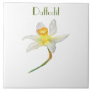 Search for daffodil tiles Flower