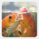 Search for koi carp stickers Horizontal