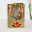 Search for squirrel christmas cards Chipmunk