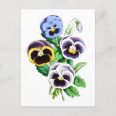 Search for vintage pansies postcards Botanical