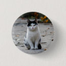 Search for fluffy animal badges Cat