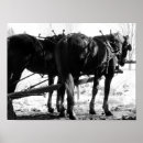 Search for hitch art Winter