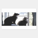 Search for curious cat stickers Feline