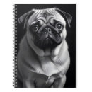 Search for pocket pet posters Animal