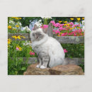 Search for silky postcards Nature