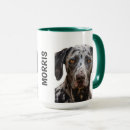 Search for catahoula mugs Pets