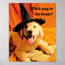 Search for broom art Animals