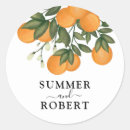 Search for mandarin orange stickers Botanical