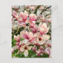 Search for blüte postcards Frühling