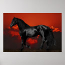 Search for horse silhouette at sunset posters Equestrian