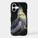Search for cockatiel iphone cases Pet