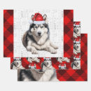 Search for husky christmas wrapping paper Huskies