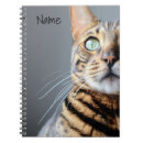 Search for bengals photography Pets