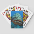 Search for grouper Epinephelus itajara