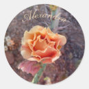 Search for peach flower stickers Pretty