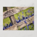 Search for country fence postcards Garden