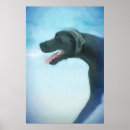 Search for daning posters For pets