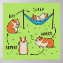 Search for funny pig posters Rodent