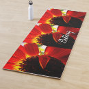 Search for gerbera Red