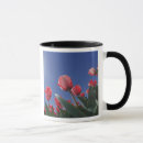 Search for angle mugs Looking up
