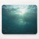 Search for agility mouse mats Motion