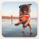Search for pug coasters Puppy