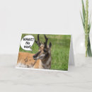Search for herding cards Photography