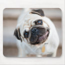 Search for pet pug mouse mats Animal