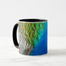 Search for peacock pictures mugs Feathers