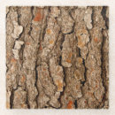 Search for tree coasters Trunk