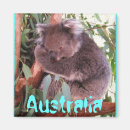Search for funny bears magnets Animals