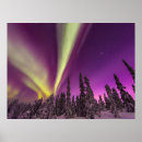 Search for borealis posters Forest