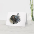 Search for bulldog puppies cards Pets