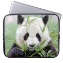 Search for panda laptop cases Animal