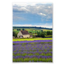 Search for english flowers posters England