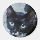 Search for behind magnets Cat