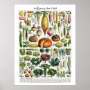 Search for vintage french kitchen posters Housewarming