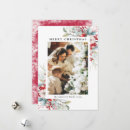 Search for red berries christmas cards Foliage