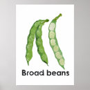 Search for legume posters Beans