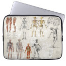 Search for anatomical electronics Biology