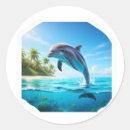 Search for marine mammals stickers Dolphin