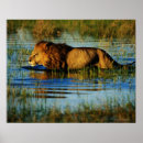 Search for selective focus posters Water