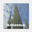 Search for arizona magnets Southwest