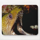 Search for mouth mouse mats Animal body part