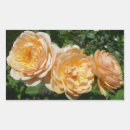 Search for trio stickers Floral